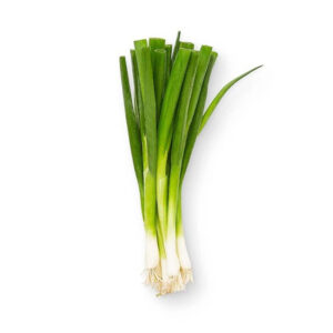 Forårsløg
